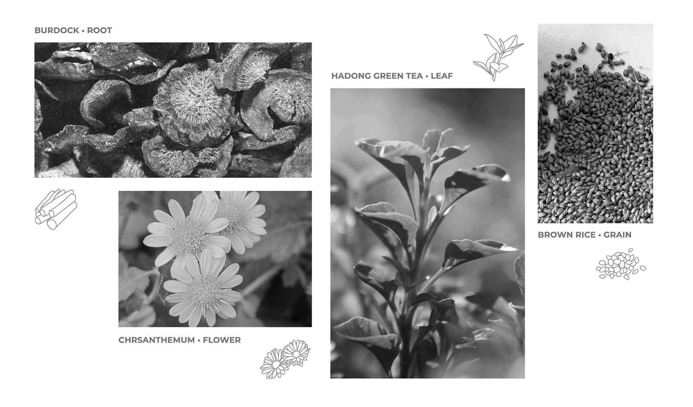 2-Tea-types-F3